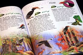 Imagini pentru Curiozitati despre animale