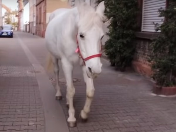 Numele meu este&nbsp;Jenny