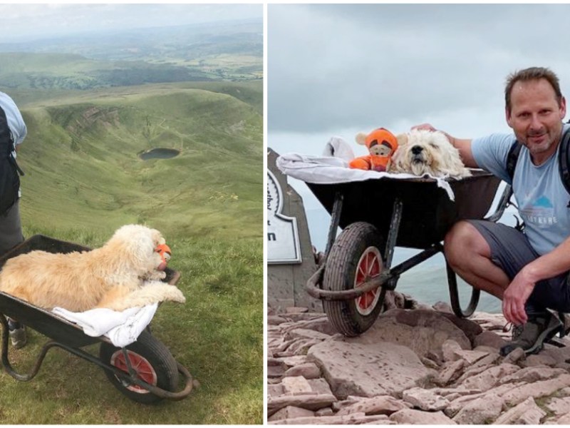 Un bărbat  și-a luat câinele bolnav în stadiu terminal la plimbare cu roaba într-o ultimă&nbsp;calatorie